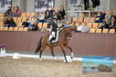 Filename=PT9_8754.JPG
Filesize=449KiB
Dimensions=1224x817
Date added=Oct 18, 2022 PT9_8754.JPG