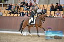 Filename=PT9_8755.JPG
Filesize=440KiB
Dimensions=1224x817
Date added=Oct 18, 2022 PT9_8755.JPG