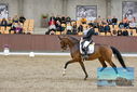 Filename=PT9_8758.JPG
Filesize=425KiB
Dimensions=1224x817
Date added=Oct 18, 2022 PT9_8758.JPG