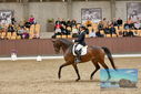 Filename=PT9_8761.JPG
Filesize=471KiB
Dimensions=1224x817
Date added=Oct 18, 2022 PT9_8761.JPG