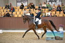 Filename=PT9_8765.JPG
Filesize=421KiB
Dimensions=1224x817
Date added=Oct 18, 2022 PT9_8765.JPG