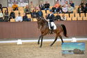 Filename=PT9_8769.JPG
Filesize=440KiB
Dimensions=1224x817
Date added=Oct 18, 2022 PT9_8769.JPG