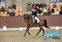 Filename=PT9_8770.JPG
Filesize=393KiB
Dimensions=1224x817
Date added=Oct 18, 2022 PT9_8770.JPG