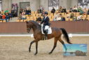 Filename=PT9_8772.JPG
Filesize=452KiB
Dimensions=1224x817
Date added=Oct 18, 2022 PT9_8772.JPG