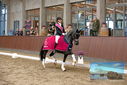 Filename=PT9_8793.JPG
Filesize=466KiB
Dimensions=1224x817
Date added=Oct 18, 2022 PT9_8793.JPG