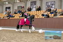 Filename=PT9_8794.JPG
Filesize=454KiB
Dimensions=1224x817
Date added=Oct 18, 2022 PT9_8794.JPG