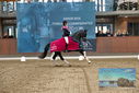 Filename=PT9_8799.JPG
Filesize=421KiB
Dimensions=1224x817
Date added=Oct 18, 2022 PT9_8799.JPG