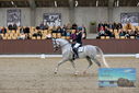 Filename=PT9_8804.JPG
Filesize=468KiB
Dimensions=1224x817
Date added=Oct 18, 2022 PT9_8804.JPG