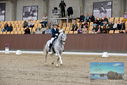 Filename=PT9_8805.JPG
Filesize=446KiB
Dimensions=1224x817
Date added=Oct 18, 2022 PT9_8805.JPG