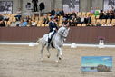 Filename=PT9_8806.JPG
Filesize=461KiB
Dimensions=1224x817
Date added=Oct 18, 2022 PT9_8806.JPG