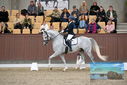Filename=PT9_8811.JPG
Filesize=415KiB
Dimensions=1224x817
Date added=Oct 18, 2022 PT9_8811.JPG