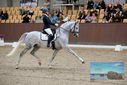 Filename=PT9_8813.JPG
Filesize=420KiB
Dimensions=1224x817
Date added=Oct 18, 2022 PT9_8813.JPG
