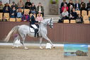 Filename=PT9_8816.JPG
Filesize=393KiB
Dimensions=1224x817
Date added=Oct 18, 2022 PT9_8816.JPG
