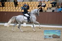 Filename=PT9_8819.JPG
Filesize=414KiB
Dimensions=1224x817
Date added=Oct 18, 2022 PT9_8819.JPG