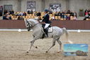 Filename=PT9_8823.JPG
Filesize=439KiB
Dimensions=1224x817
Date added=Oct 18, 2022 PT9_8823.JPG