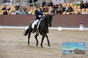 Filename=PT9_8830.JPG
Filesize=467KiB
Dimensions=1224x817
Date added=Oct 18, 2022 PT9_8830.JPG