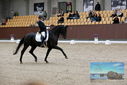 Filename=PT9_8831.JPG
Filesize=408KiB
Dimensions=1224x817
Date added=Oct 18, 2022 PT9_8831.JPG