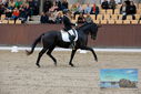 Filename=PT9_8833.JPG
Filesize=435KiB
Dimensions=1224x817
Date added=Oct 18, 2022 PT9_8833.JPG