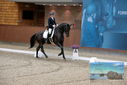 Filename=PT9_8834.JPG
Filesize=376KiB
Dimensions=1224x817
Date added=Oct 18, 2022 PT9_8834.JPG
