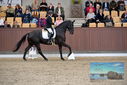 Filename=PT9_8835.JPG
Filesize=419KiB
Dimensions=1224x817
Date added=Oct 18, 2022 PT9_8835.JPG