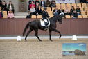 Filename=PT9_8836.JPG
Filesize=408KiB
Dimensions=1224x817
Date added=Oct 18, 2022 PT9_8836.JPG