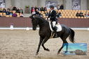 Filename=PT9_8841.JPG
Filesize=410KiB
Dimensions=1224x817
Date added=Oct 18, 2022 PT9_8841.JPG