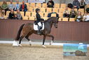 Filename=PT9_8844.JPG
Filesize=412KiB
Dimensions=1224x817
Date added=Oct 18, 2022 PT9_8844.JPG