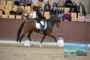 Filename=PT9_8845.JPG
Filesize=430KiB
Dimensions=1224x817
Date added=Oct 18, 2022 PT9_8845.JPG