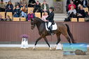 Filename=PT9_8851.JPG
Filesize=379KiB
Dimensions=1224x817
Date added=Oct 18, 2022 PT9_8851.JPG