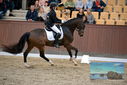 Filename=PT9_8852.JPG
Filesize=386KiB
Dimensions=1224x817
Date added=Oct 18, 2022 PT9_8852.JPG