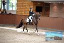 Filename=PT9_8854.JPG
Filesize=378KiB
Dimensions=1224x817
Date added=Oct 18, 2022 PT9_8854.JPG