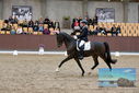 Filename=PT9_8856.JPG
Filesize=461KiB
Dimensions=1224x817
Date added=Oct 18, 2022 PT9_8856.JPG