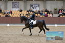Filename=PT9_8857.JPG
Filesize=411KiB
Dimensions=1224x817
Date added=Oct 18, 2022 PT9_8857.JPG