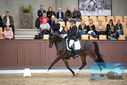 Filename=PT9_8860.JPG
Filesize=414KiB
Dimensions=1224x817
Date added=Oct 18, 2022 PT9_8860.JPG