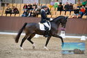 Filename=PT9_8865.JPG
Filesize=411KiB
Dimensions=1224x817
Date added=Oct 18, 2022 PT9_8865.JPG