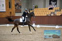 Filename=PT9_8871.JPG
Filesize=406KiB
Dimensions=1224x817
Date added=Oct 18, 2022 PT9_8871.JPG