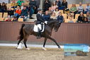 Filename=PT9_8872.JPG
Filesize=432KiB
Dimensions=1224x817
Date added=Oct 18, 2022 PT9_8872.JPG