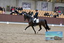 Filename=PT9_8875.JPG
Filesize=438KiB
Dimensions=1224x817
Date added=Oct 18, 2022 PT9_8875.JPG
