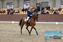 Filename=PT9_8880.JPG
Filesize=429KiB
Dimensions=1224x817
Date added=Oct 18, 2022 PT9_8880.JPG