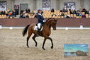 Filename=PT9_8881.JPG
Filesize=441KiB
Dimensions=1224x817
Date added=Oct 18, 2022 PT9_8881.JPG