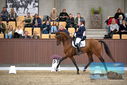 Filename=PT9_8882.JPG
Filesize=409KiB
Dimensions=1224x817
Date added=Oct 18, 2022 PT9_8882.JPG