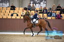 Filename=PT9_8883.JPG
Filesize=419KiB
Dimensions=1224x817
Date added=Oct 18, 2022 PT9_8883.JPG