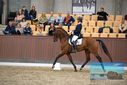 Filename=PT9_8884.JPG
Filesize=401KiB
Dimensions=1224x817
Date added=Oct 18, 2022 PT9_8884.JPG