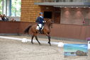 Filename=PT9_8891.JPG
Filesize=419KiB
Dimensions=1224x817
Date added=Oct 18, 2022 PT9_8891.JPG