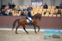 Filename=PT9_8892.JPG
Filesize=423KiB
Dimensions=1224x817
Date added=Oct 18, 2022 PT9_8892.JPG