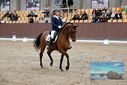 Filename=PT9_8899.JPG
Filesize=462KiB
Dimensions=1224x817
Date added=Oct 18, 2022 PT9_8899.JPG