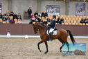 Filename=PT9_8900.JPG
Filesize=413KiB
Dimensions=1224x817
Date added=Oct 18, 2022 PT9_8900.JPG