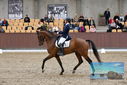 Filename=PT9_8901.JPG
Filesize=454KiB
Dimensions=1224x817
Date added=Oct 18, 2022 PT9_8901.JPG