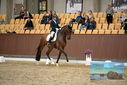 Filename=PT9_8904.JPG
Filesize=409KiB
Dimensions=1224x817
Date added=Oct 18, 2022 PT9_8904.JPG