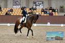 Filename=PT9_8908.JPG
Filesize=427KiB
Dimensions=1224x817
Date added=Oct 18, 2022 PT9_8908.JPG